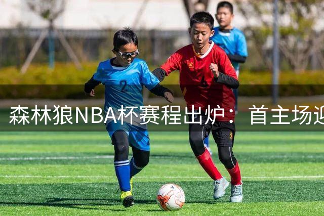 森林狼NBA杯赛程出炉：首主场迎战快船 三连客后决战灰熊
